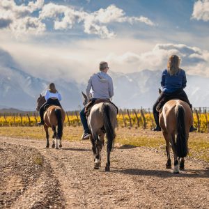 pexels-nano-erdozain-120534369-19046659